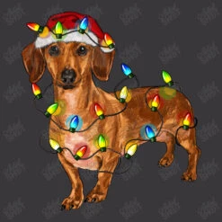 Dachshund Christmas Lights Ladies Curvy T-Shirt -Noel Outfits Store d.2526777655.25096830.s3.1 39373a YXJ0aXN0c2hvdA 800x800 1