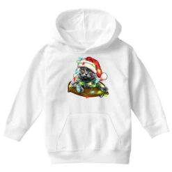 Christmas Scottish Fold Cat Youth Hoodie -Noel Outfits Store pd.2526742290.53.25093235.s3.1 front white ffffff none x5.5y0 102 800x800 1